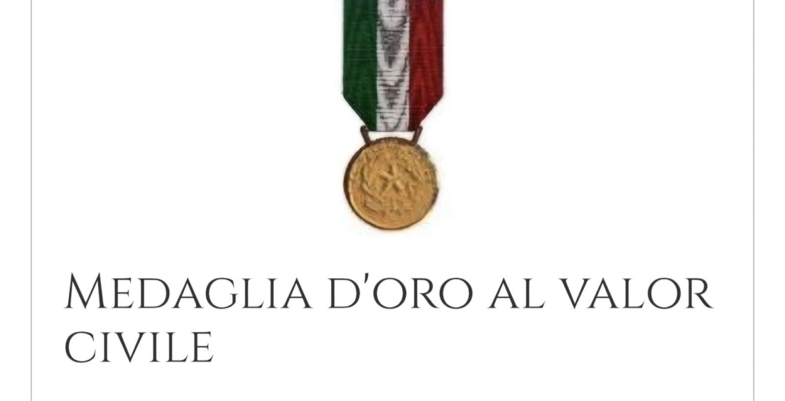 Ai falchi della Questura di Taranto la Medaglia al Valor civile 1 Falchi movc