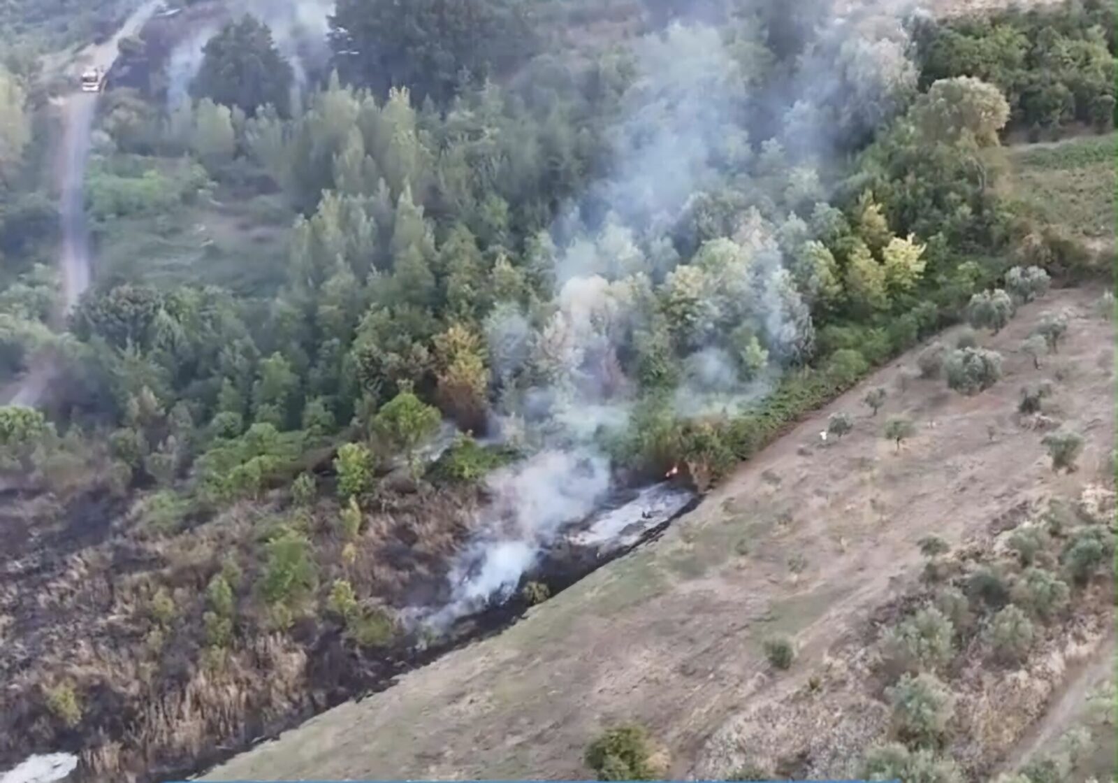 incendio piromane arrestato grazie a fototrappole e indagini carabinieri 4 Difesa Magazine