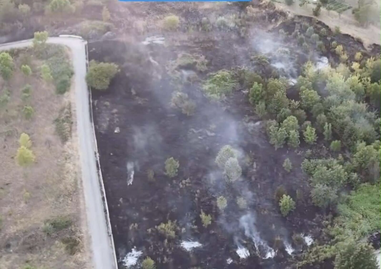 incendio piromane arrestato grazie a fototrappole e indagini carabinieri 6 Difesa Magazine