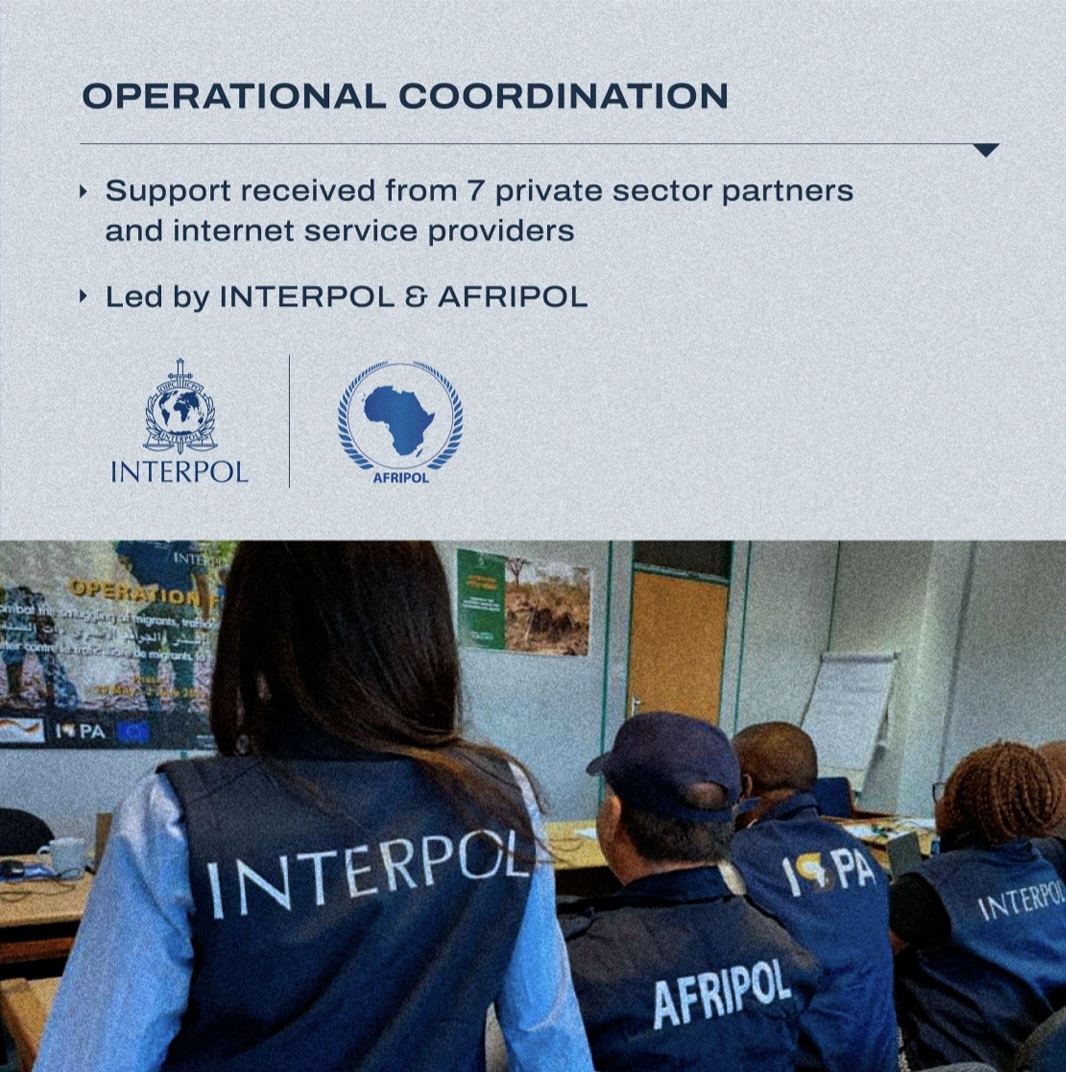 Serengheti, "bella botta" di INTERPOL 1 Interpol a afripol