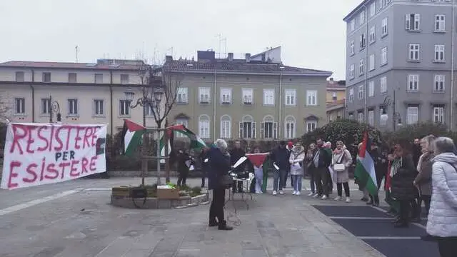 Manifestazione palestina