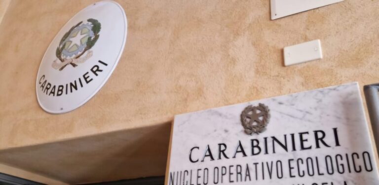 la morte lascia increduli Difesa Magazine